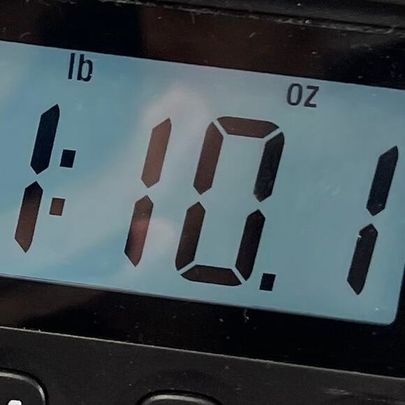 ISAAC MIZRAHI LIVE Plaid Blouse Women Size XL - Picture 11 of 12